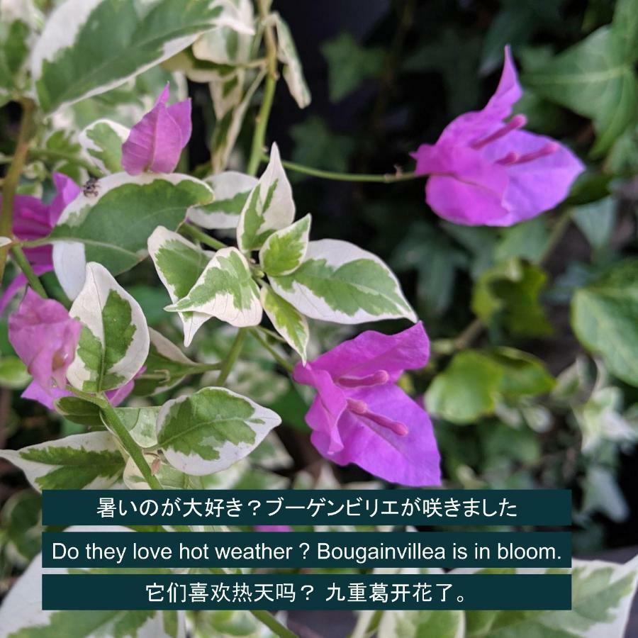 Kyoya Ryokan Nagoya Bagian luar foto